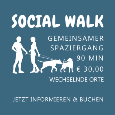 Social Walk - Sozialkompetenz für Hunde