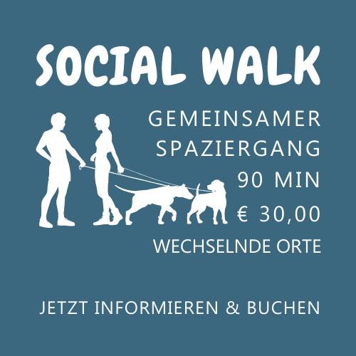 Social Walk mit den WeberPfoten aus Essen