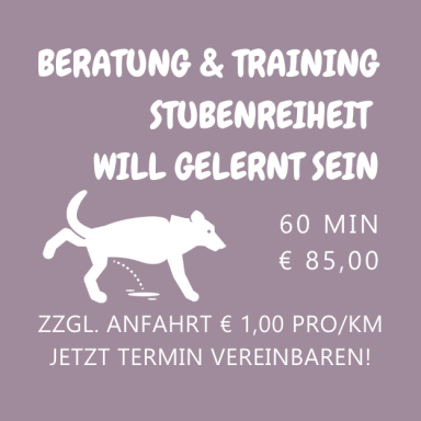 Beratung und Training Stubenreinheit, Trennungsangst u.v.m.