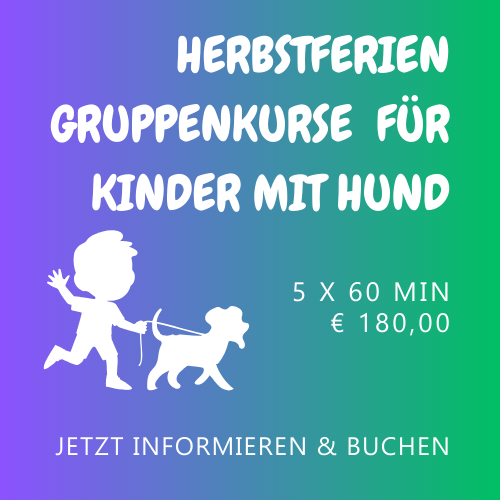 Sommerferien Kinder / Hund Kurs