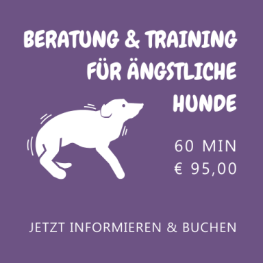 Beratung & Training für ängstliche Hunde