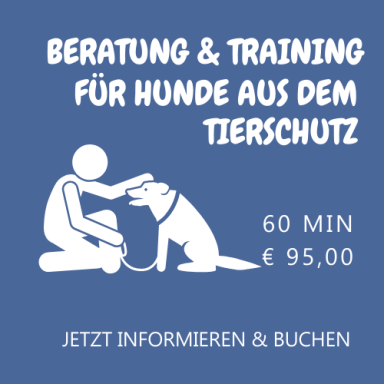 Beratung und Training für Hunde aus dem Tierschutz
