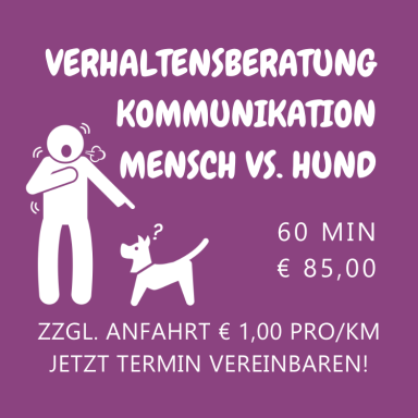 Verhaltensberatung - Kommunikation Mensch vs. Hund