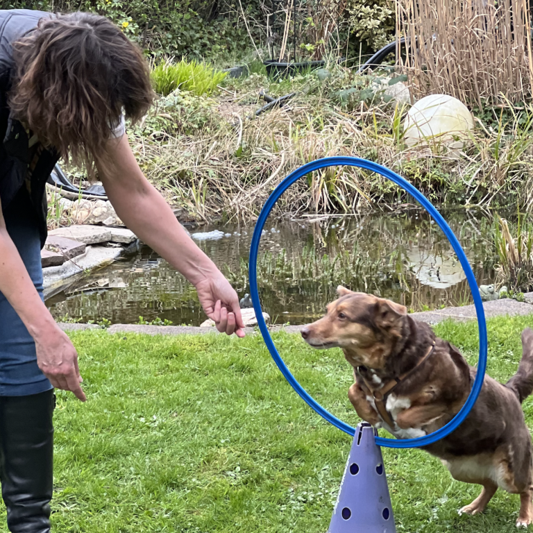 Martina Weber mit Shiva bei Agiliy Training