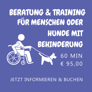 Beratung und Training für Hundebesitzer oder Hunde mit Handicap